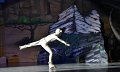 Lionking 0412
